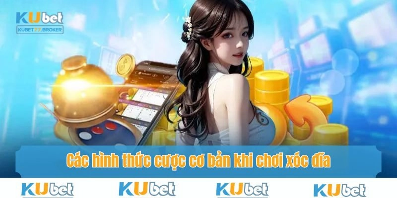 Các hình thức đặt cược cơ bản thành viên có thể tham khảo